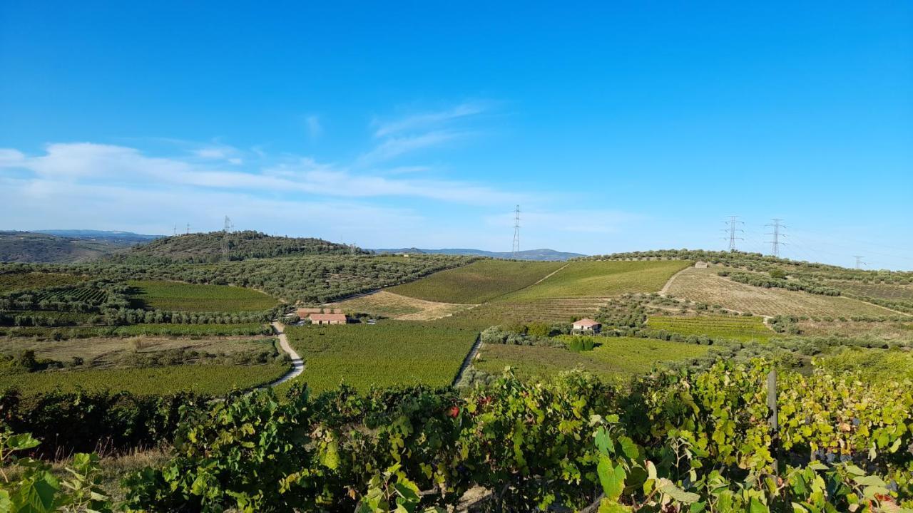 Quinta Do Outono Villa Armamar Exterior photo